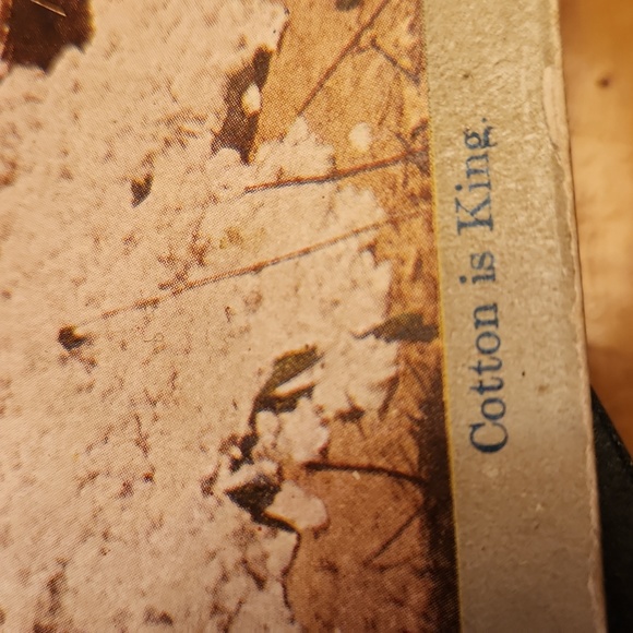 9 Steroscope vintage Card - Picture 14 of 15